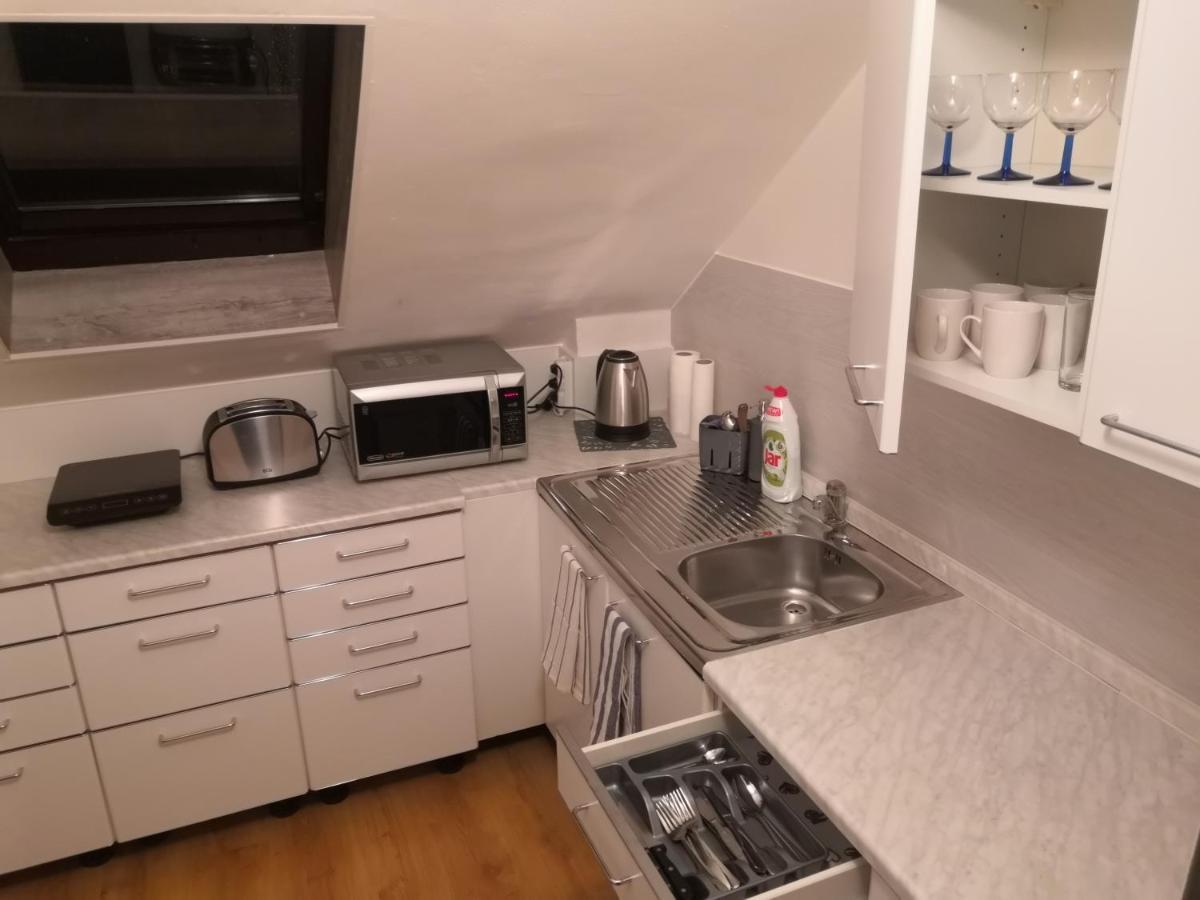 Penzion Ubytovani U Parku S Parkovistem Česká Lípa Exteriör bild